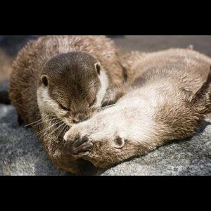 Meet your Posher, Meagan